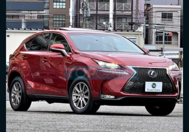 2014 LEXUS NX NX300H I PACKAGE