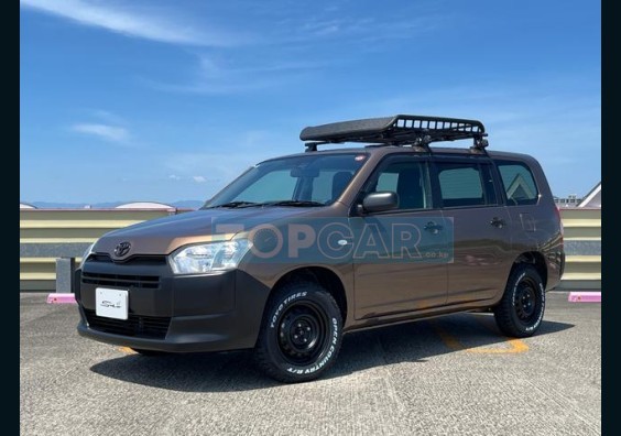 2019 TOYOTA PROBOX JAPAN