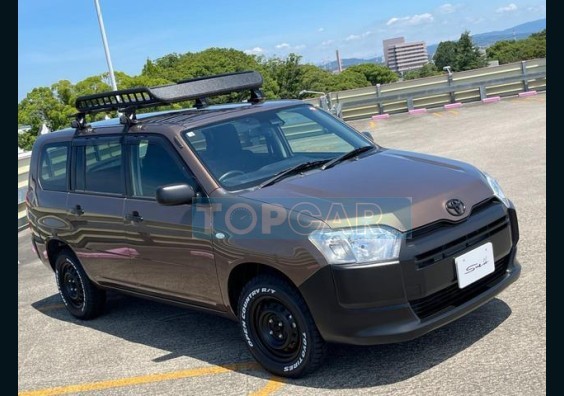 2019 TOYOTA PROBOX JAPAN